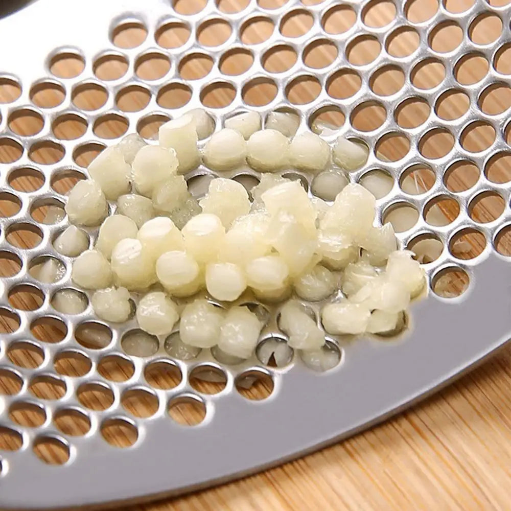 Stainless steel garlic Crasher