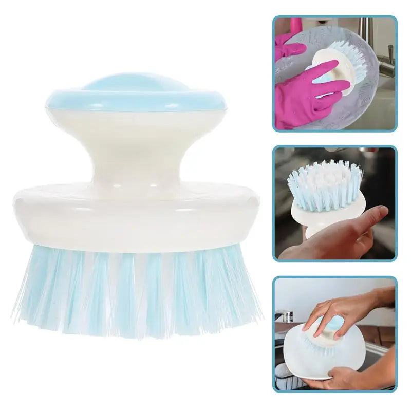 Dish Scrub Brushes Kitchen